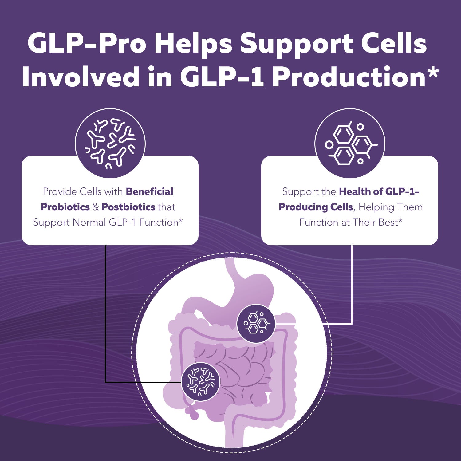 GLP-Pro | GLP-1 Probiotic & Postbiotic*