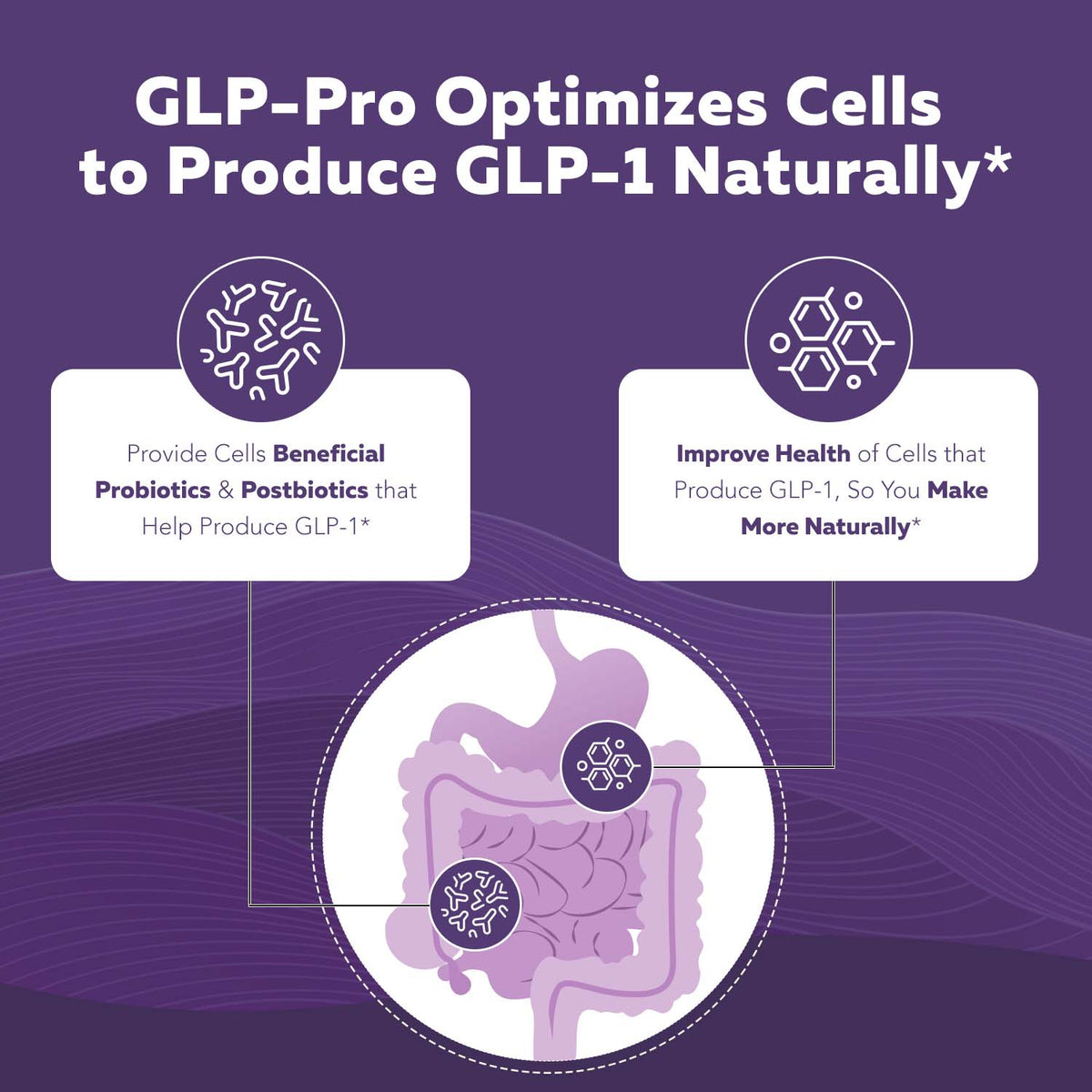 GLP-Pro | GLP-1 Probiotic &amp; Postbiotic*