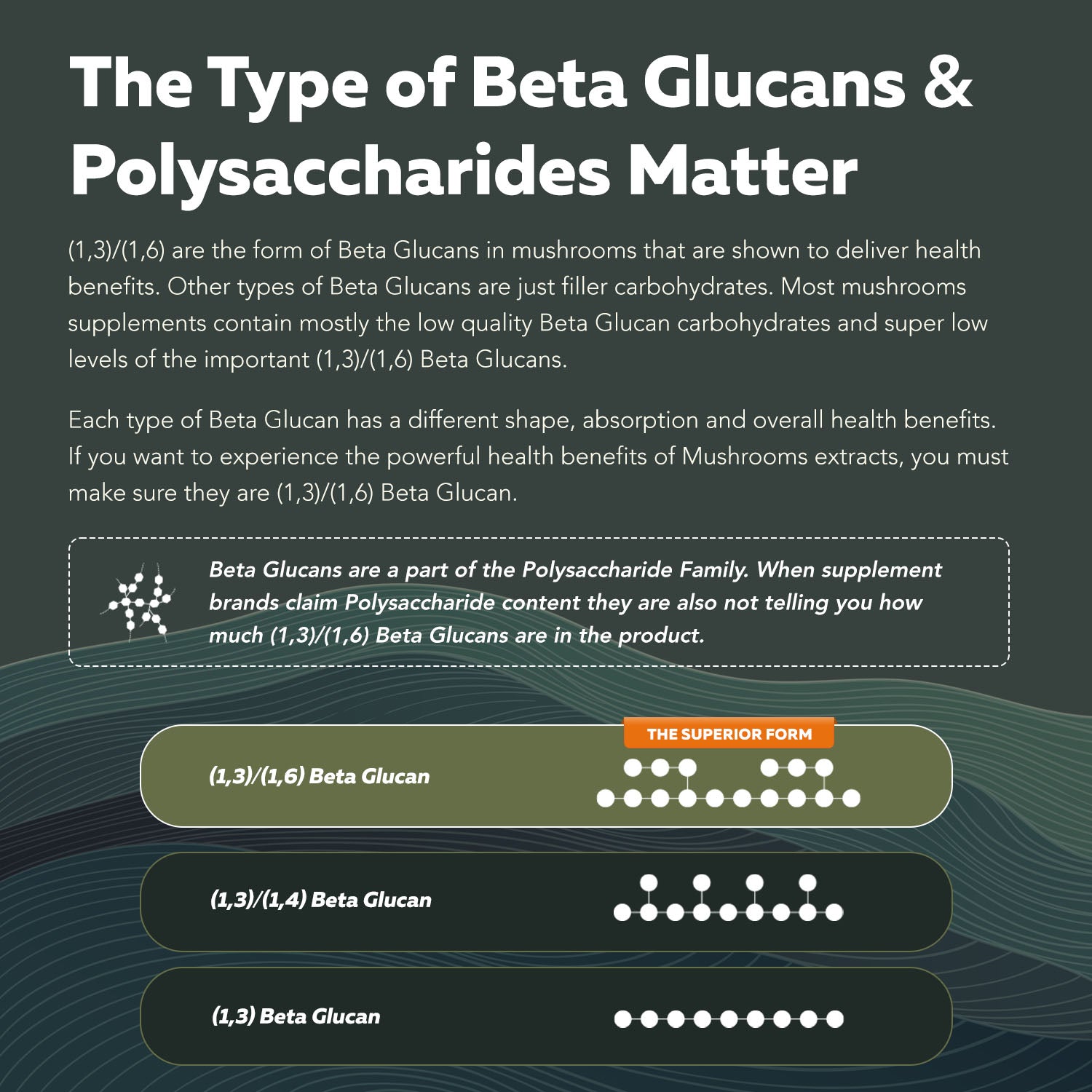 MycoMax Lion's Mane Extract - 70% Beta Glucans