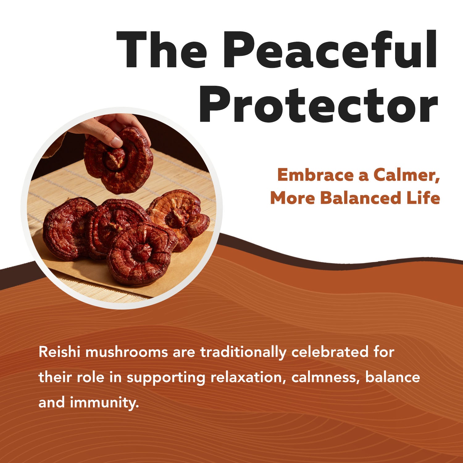 MycoMax Reishi Mushroom Extract Capsules - 70% Beta Glucans