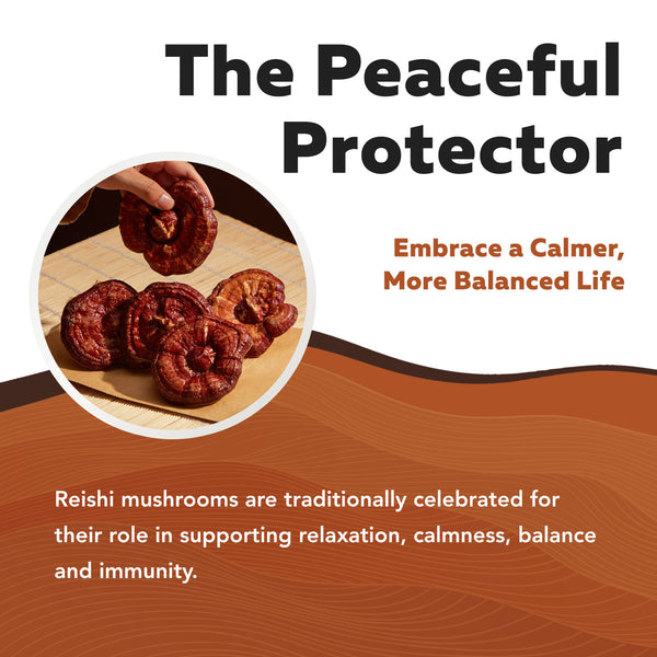 MycoMax Reishi Mushroom Extract Capsules - 70% Beta Glucans