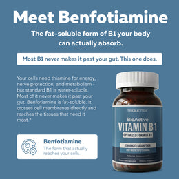 BioActive B1 bottle beside text explaining benfotiamine as the fat-soluble, bioactive form of vitamin B1