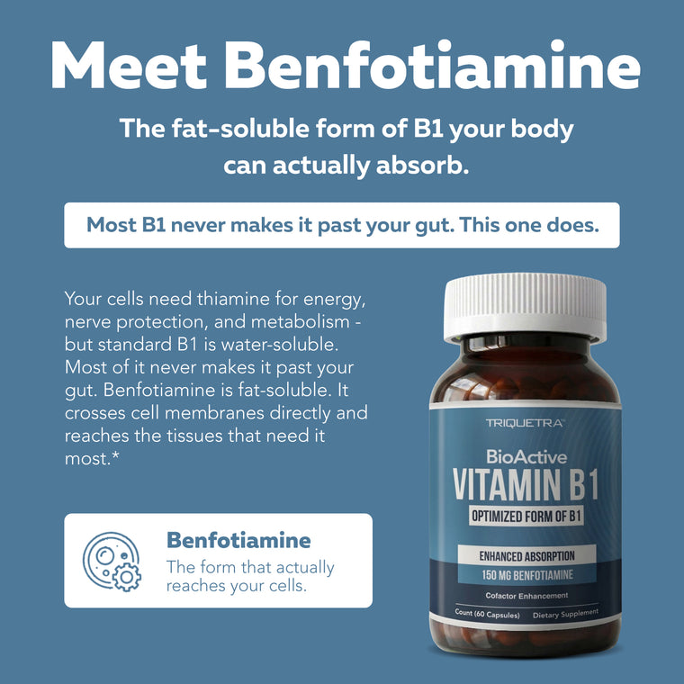 BioActive B1 bottle beside text explaining benfotiamine as the fat-soluble, bioactive form of vitamin B1