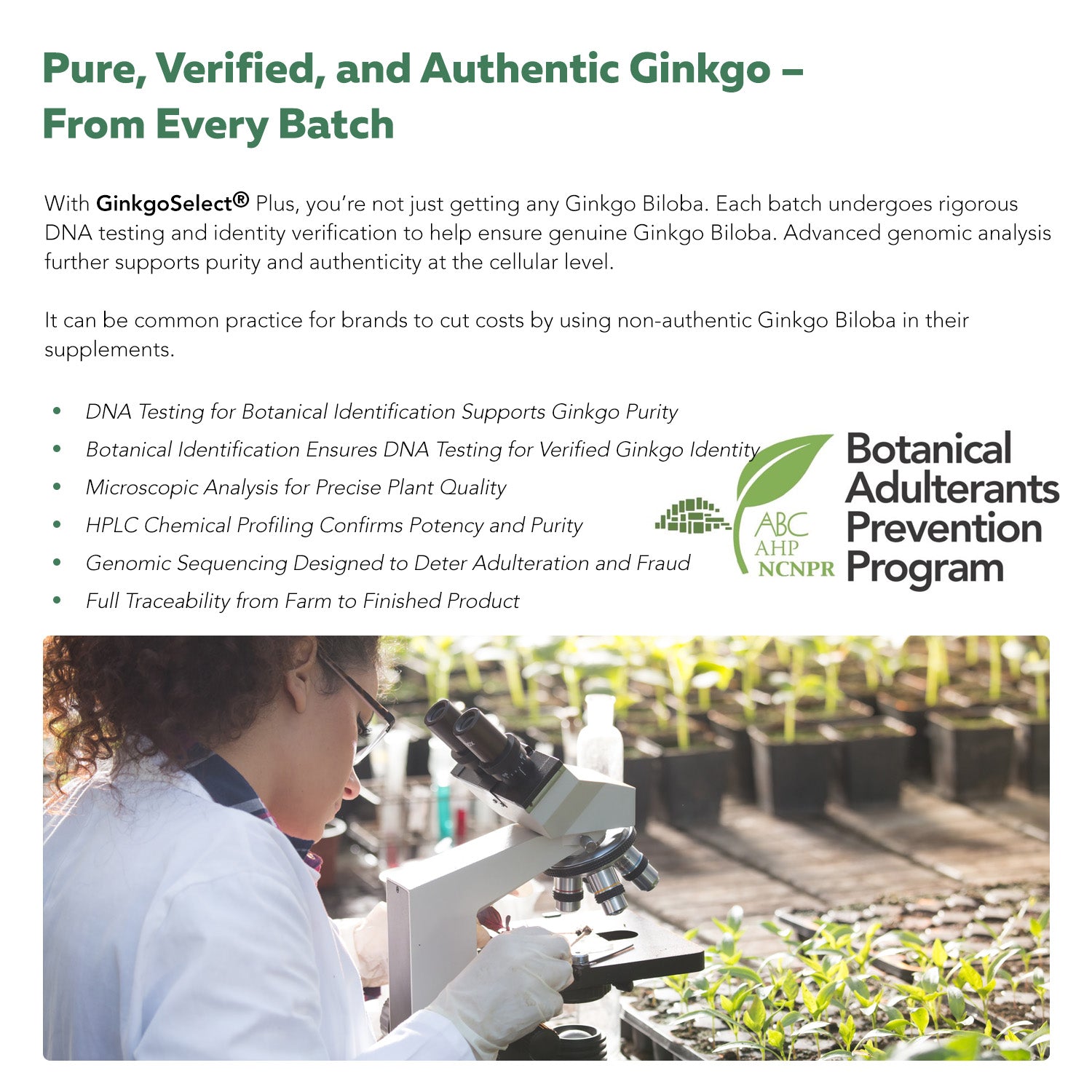 SoActive Ginkgo Biloba