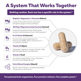 Mental-Mag complete brain magnesium system — six ingredients with role labels Triquetra Health