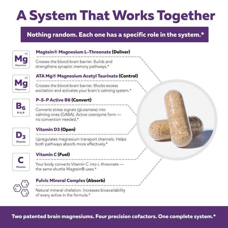 Mental-Mag complete brain magnesium system — six ingredients with role labels Triquetra Health