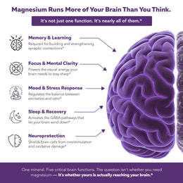 Mental-Mag brain magnesium scope of need — memory focus mood sleep neuroprotection illustrated
