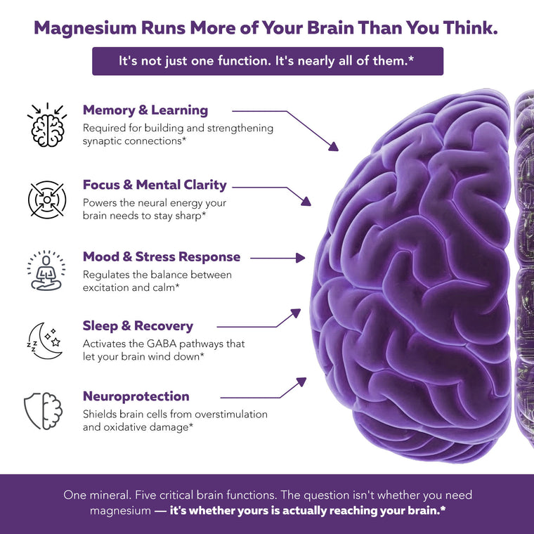 Mental-Mag brain magnesium scope of need — memory focus mood sleep neuroprotection illustrated