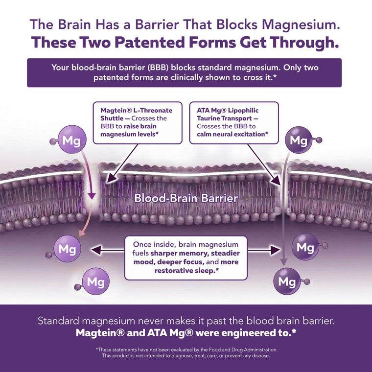Mental-Mag blood-brain barrier diagram showing Magtein and ATA Mg crossing patented pathways