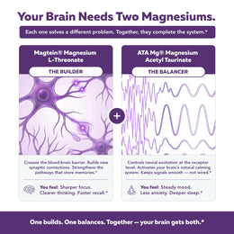Mental-Mag The Builder Magtein and The Balancer ATA Mg dual-pathway brain magnesium compariso