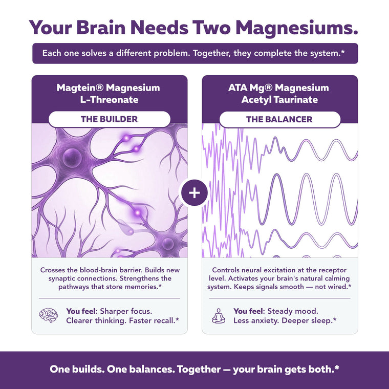 Mental-Mag The Builder Magtein and The Balancer ATA Mg dual-pathway brain magnesium compariso