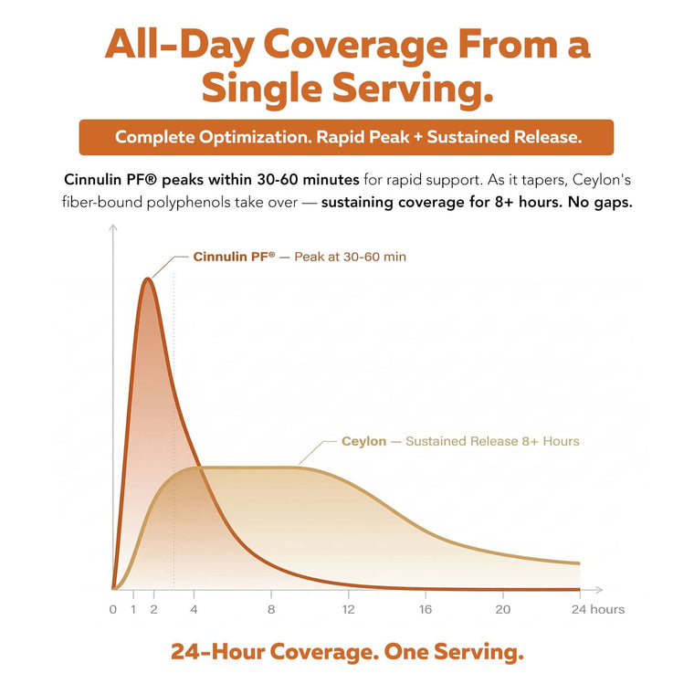 SoActive Cinnamon graph showing 24-hour coverage with rapid peak from Cinnulin PF and sustained release from Ceylon