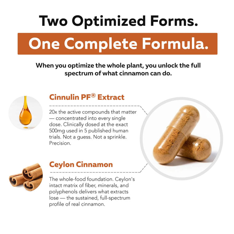 SoActive dual cinnamon complex diagram detailing Cinnulin PF extract and Ceylon cinnamon inside two capsules