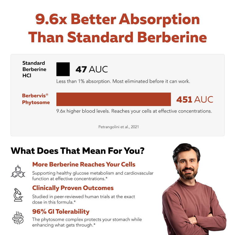 Berbervis® berberine phytosome comparison chart showing 9.6x better absorption than standard berberine HCl*