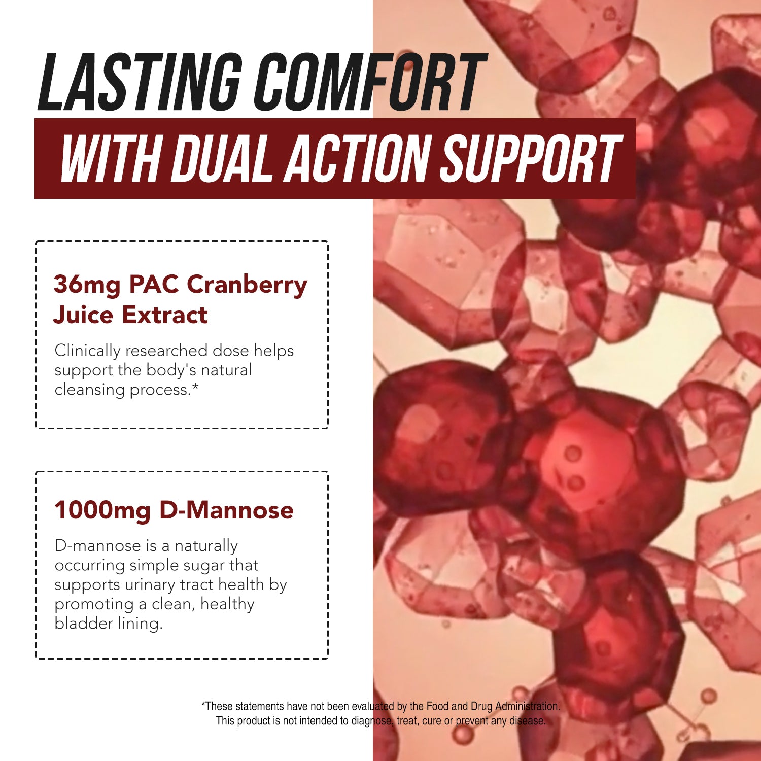 Infographic showing CranEaze cranberry extract with 36 mg PAC and 1000 mg D-mannose providing dual action support for urinary tract health and bladder cleansing