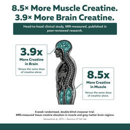 8.5x more muscle and 3.9x more brain creatine versus creatine alone — Creatine Reserve clinical data