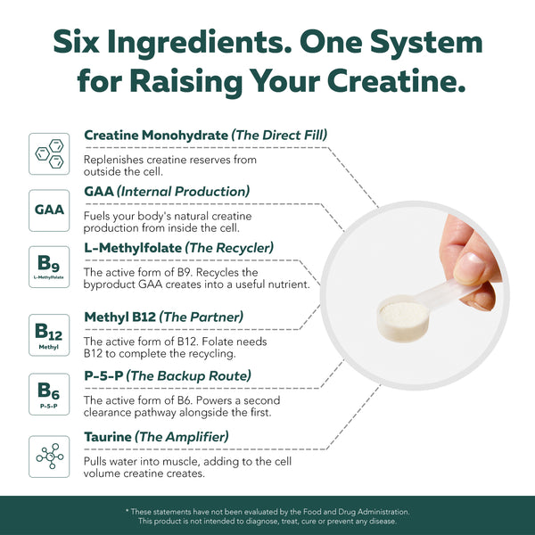 Creatine Reserve six-ingredient system: Creatine, GAA, L-Methylfolate, Methyl B12, P-5-P, and Taurine in one scoop