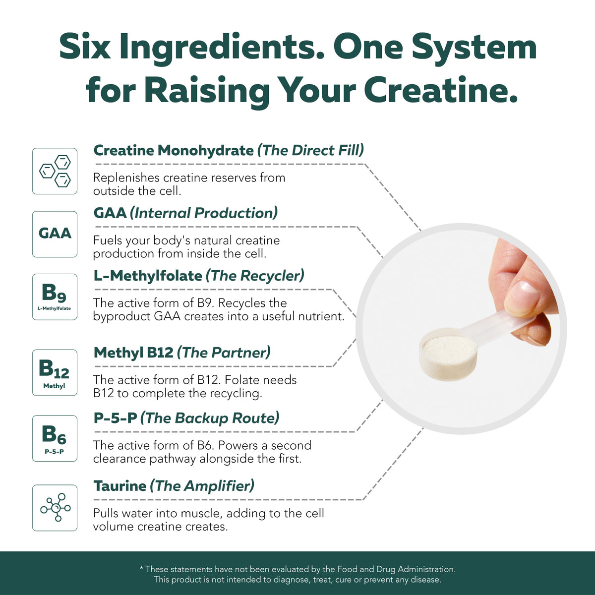 Creatine Reserve six-ingredient system: Creatine, GAA, L-Methylfolate, Methyl B12, P-5-P, and Taurine in one scoop