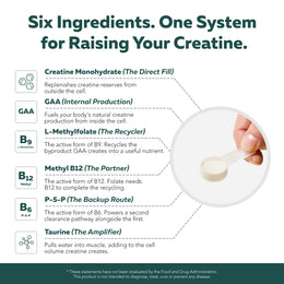 Creatine Reserve six-ingredient system: Creatine, GAA, L-Methylfolate, Methyl B12, P-5-P, and Taurine in one scoop