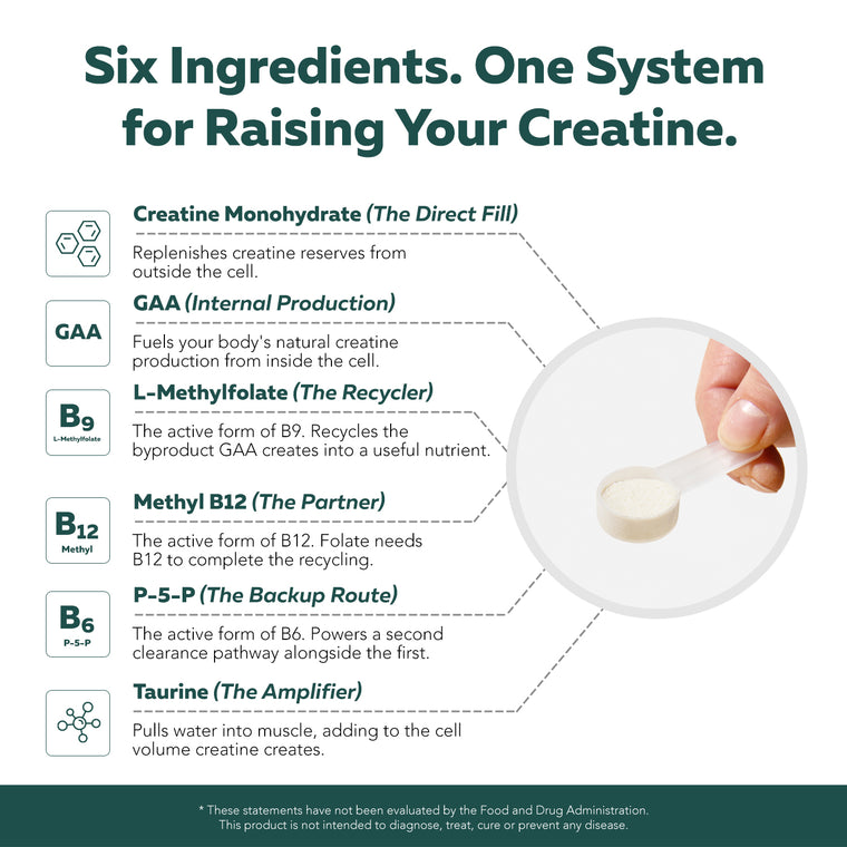 Creatine Reserve six-ingredient system: Creatine, GAA, L-Methylfolate, Methyl B12, P-5-P, and Taurine in one scoop