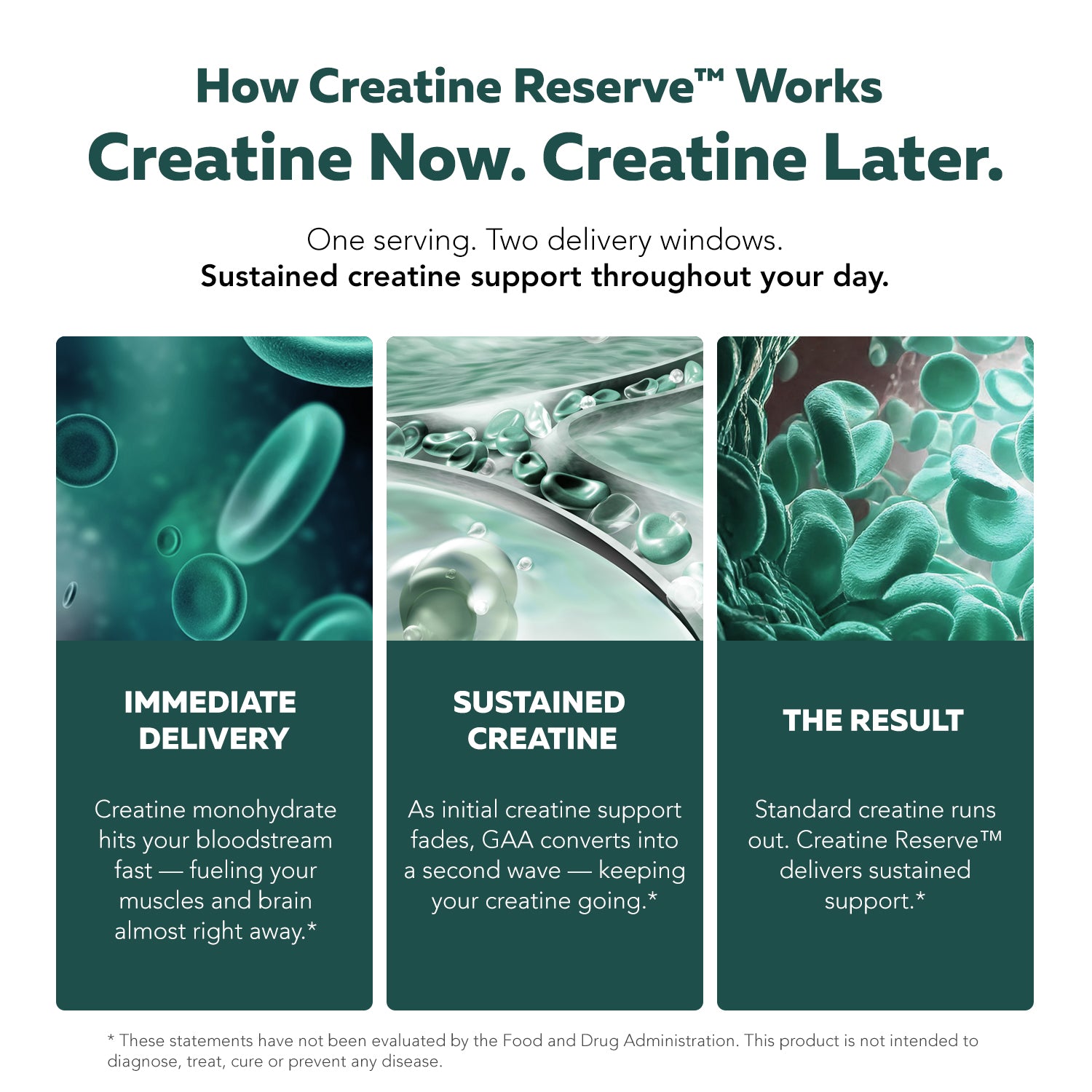 Dual pathway creatine system delivering immediate creatine plus sustained creatine synthesis support
