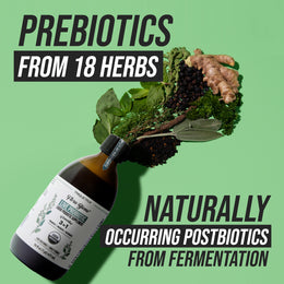 Triquetra Flora Biome liquid probiotic with prebiotics from 18 herbs and naturally occurring postbiotics from fermentation