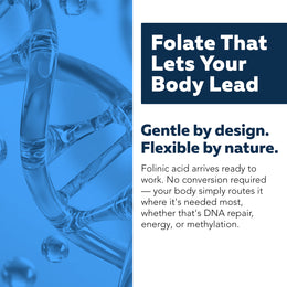 Folinic acid active folate diagram with DNA strand illustrating methylation and multi pathway folate function explanation