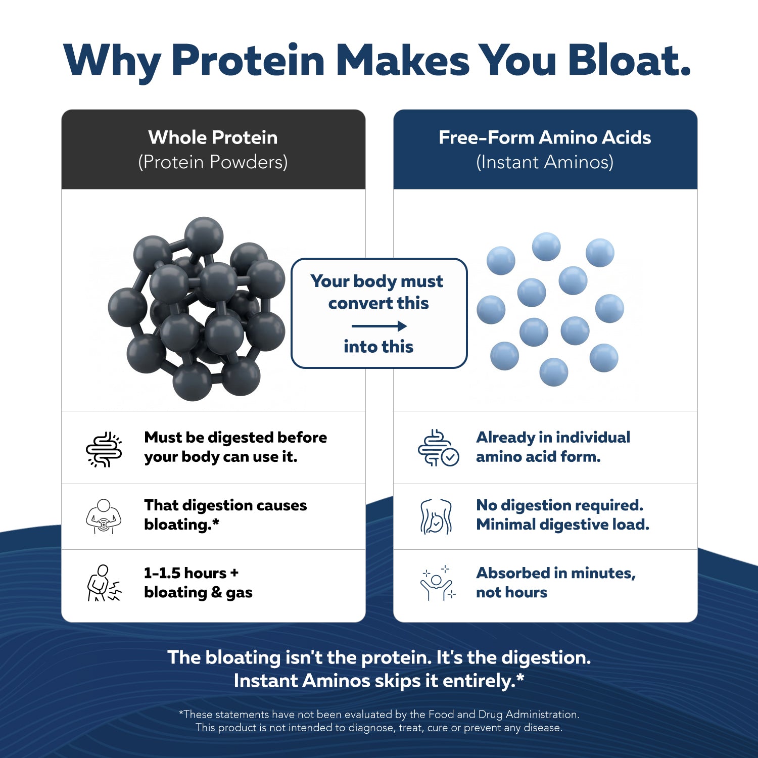 Free-form amino acids vs protein powder digestion — no digestion required, faster absorption, reduced bloating compared to protein