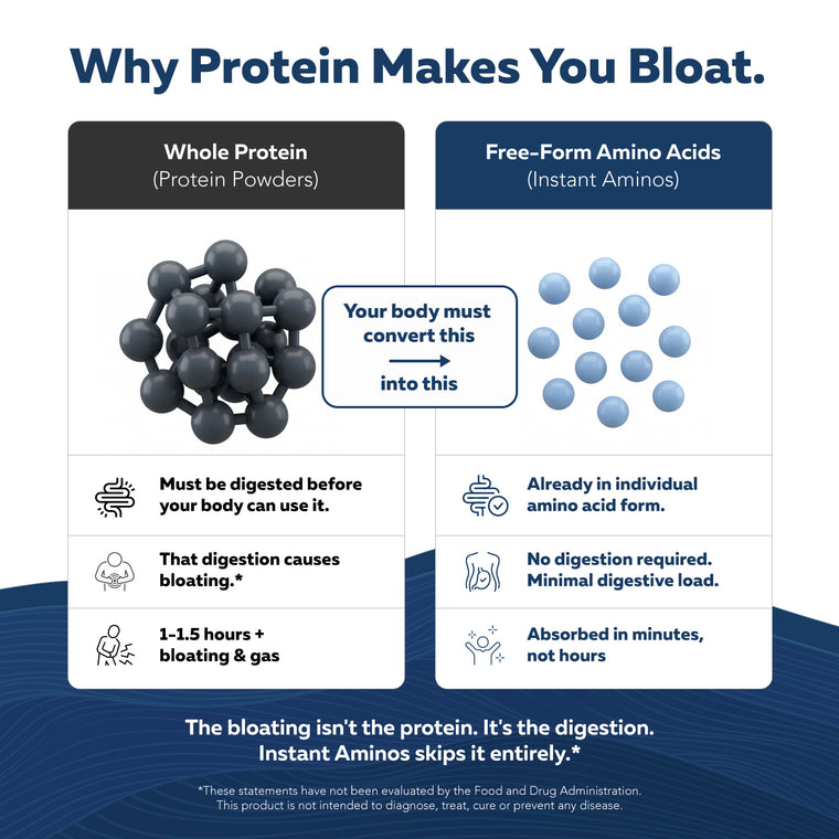 Free-form amino acids vs protein powder digestion — no digestion required, faster absorption, reduced bloating compared to protein