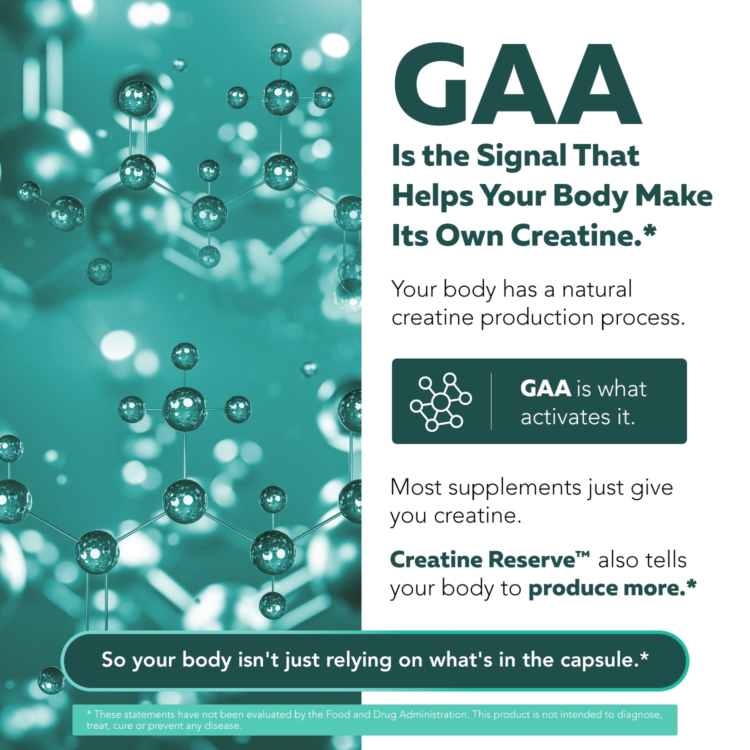 GAA precursor mechanism showing how guanidinoacetic acid supports the body’s natural creatine production