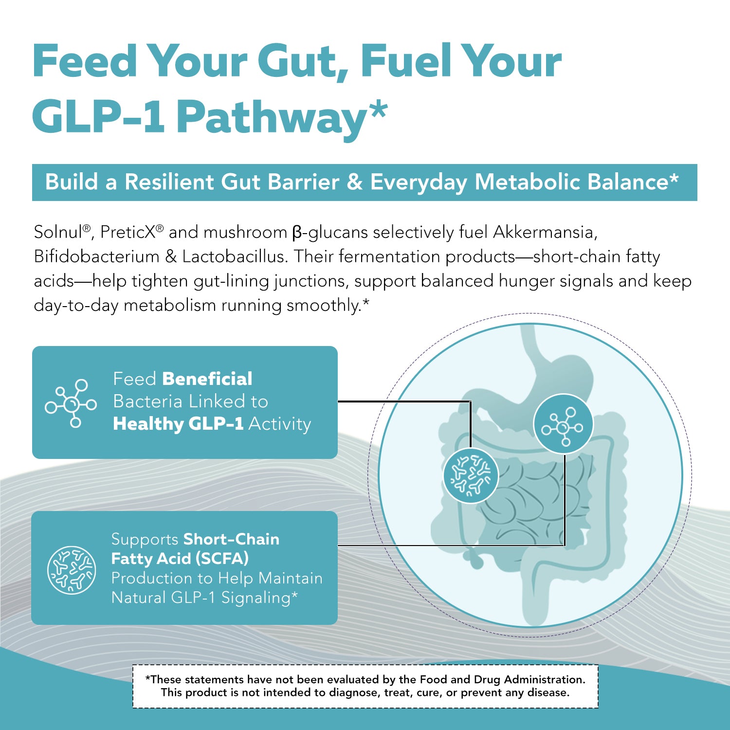 GLP-Pre prebiotic fiber complex supporting the GLP-1 pathway by feeding beneficial gut bacteria and promoting short-chain fatty acid production for gut barrier health and metabolic balance