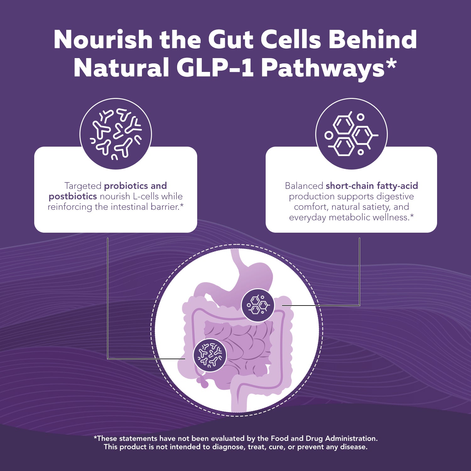 GLP-Pro probiotic and postbiotic blend nourishing gut L-cells and supporting natural GLP-1 pathways with short-chain fatty acid production for digestive and metabolic wellness