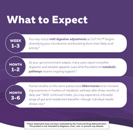 GLP-Pro probiotic postbiotic supplement timeline showing digestive microbiome changes and metabolic support from week 1 to month 6 with Akkermansia-based gut health benefits