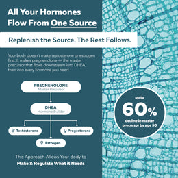 HormonIQ diagram showing the hormone cascade from master precursor pregnenolone to DHEA, testosterone, and estrogen