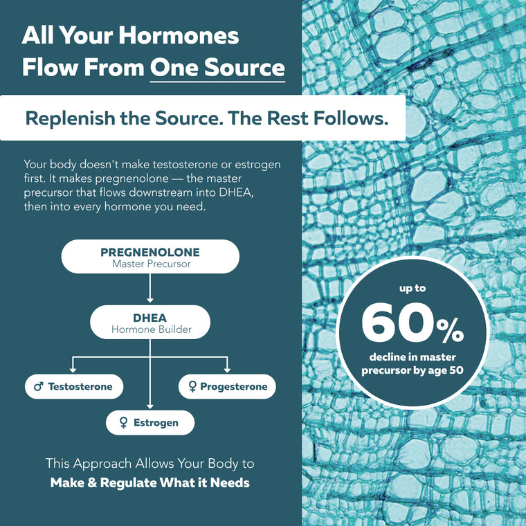 HormonIQ diagram showing the hormone cascade from master precursor pregnenolone to DHEA, testosterone, and estrogen
