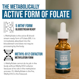 Triquetra L-Methylfolate 5-MTHF liquid supplement with methyl B12 showing the metabolically active form of folate for methylation and cellular support