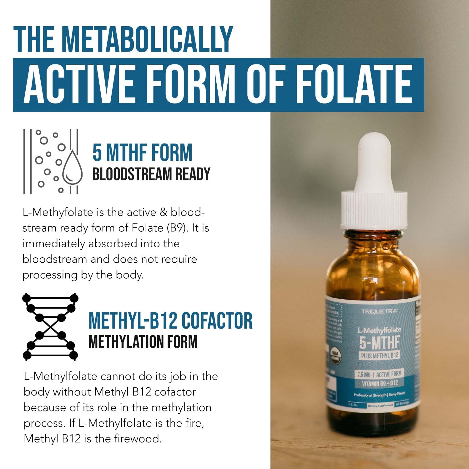 Triquetra L-Methylfolate 5-MTHF liquid supplement with methyl B12 showing the metabolically active form of folate for methylation and cellular support
