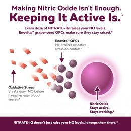 NITRATE-IQ diagram showing Enovita grape-seed OPCs neutralizing oxidative stress to keep nitric oxide active
