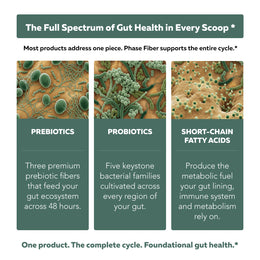 Phase Fiber gut health system featuring prebiotics, probiotics, and short-chain fatty acid support across the microbiome
