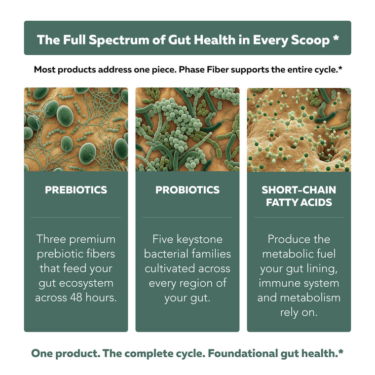 Phase Fiber gut health system featuring prebiotics, probiotics, and short-chain fatty acid support across the microbiome