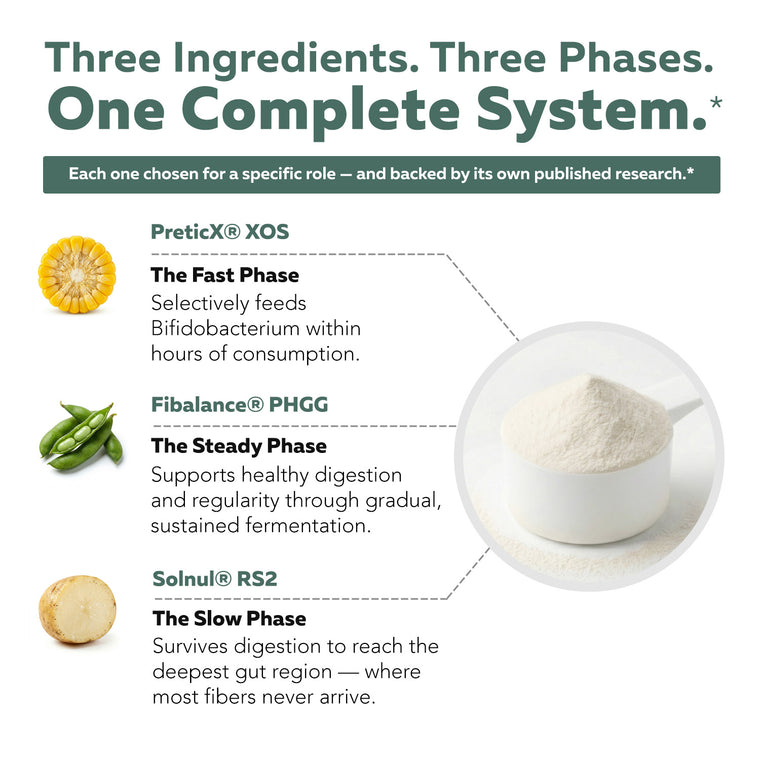 Phase Fiber Triple-Phase Fermentation ingredients featuring PreticX XOS, Fibalance PHGG, and Solnul RS2 prebiotics