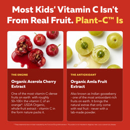 Organic Fruit Complex of organic acerola cherry and organic amla, the two whole-food vitamin C sources