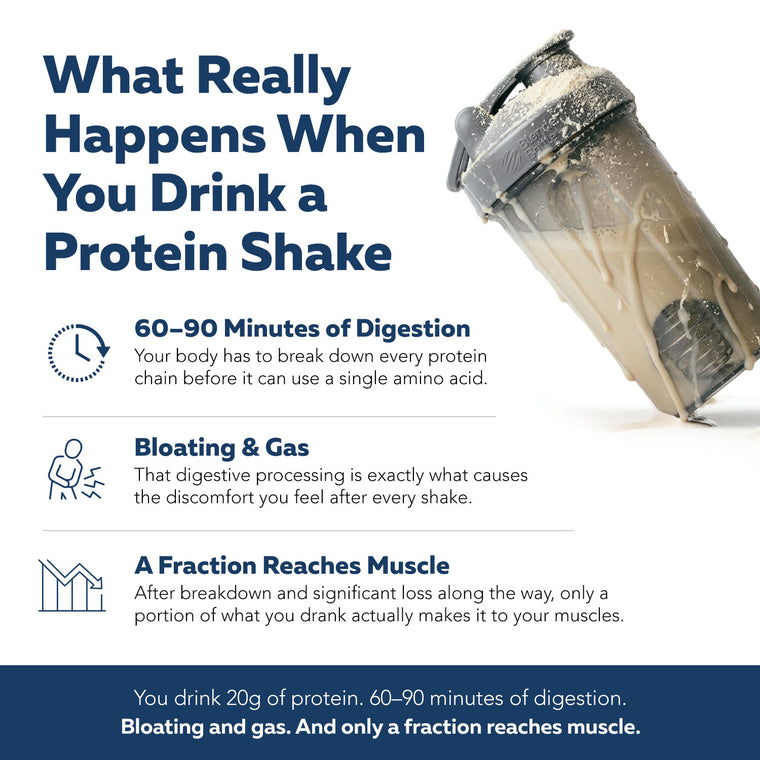 Protein shake digestion process — 60 to 90 minutes digestion, bloating and gas, limited amino acids reaching muscle