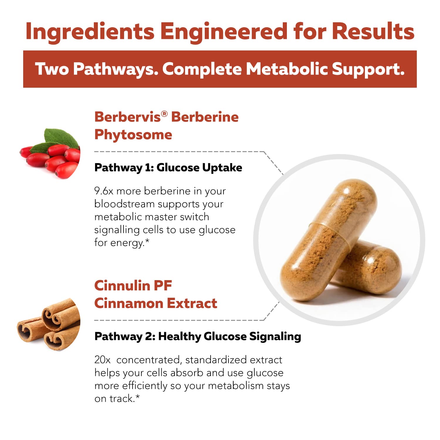 SoActive Berberine + Cinnamon dual-pathway metabolic support diagram featuring Berbervis® phytosome and Cinnulin PF® extract*