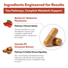 SoActive Berberine + Cinnamon dual-pathway metabolic support diagram featuring Berbervis® phytosome and Cinnulin PF® extract*