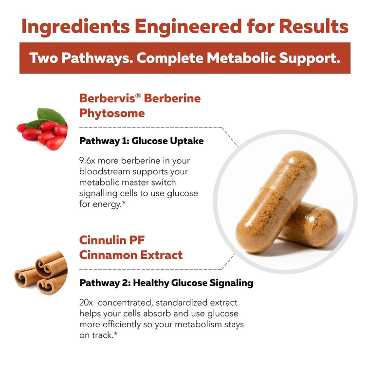 SoActive Berberine + Cinnamon dual-pathway metabolic support diagram featuring Berbervis® phytosome and Cinnulin PF® extract*