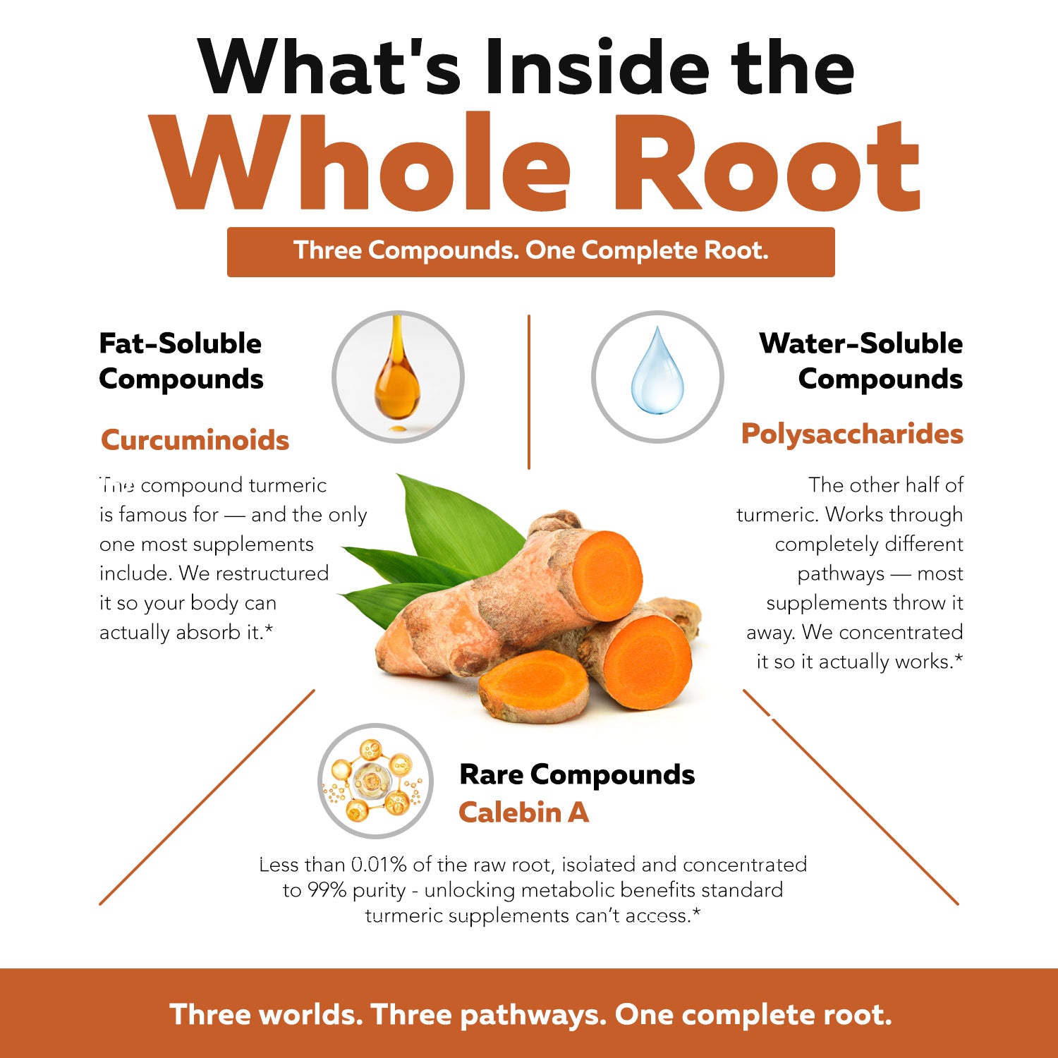 Whole turmeric root compounds including curcuminoids polysaccharides and Calebin A