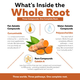 Whole turmeric root compounds including curcuminoids polysaccharides and Calebin A
