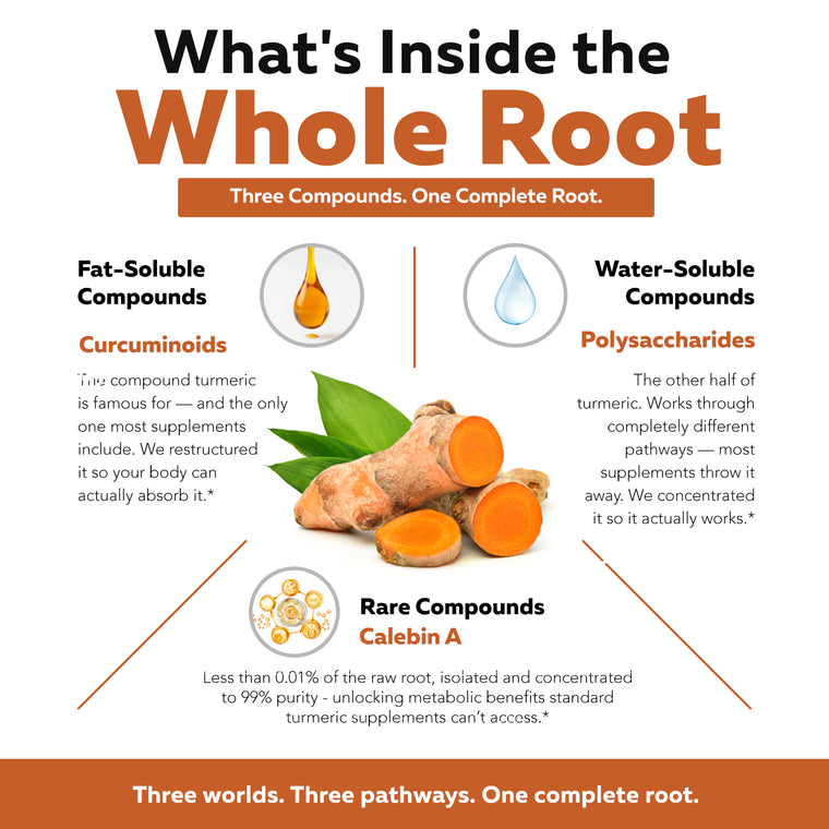 Whole turmeric root compounds including curcuminoids polysaccharides and Calebin A