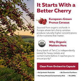 Organic cherries, water-only extraction, no ethanol hexane or acetone, every batch tested for polyphenol potency
